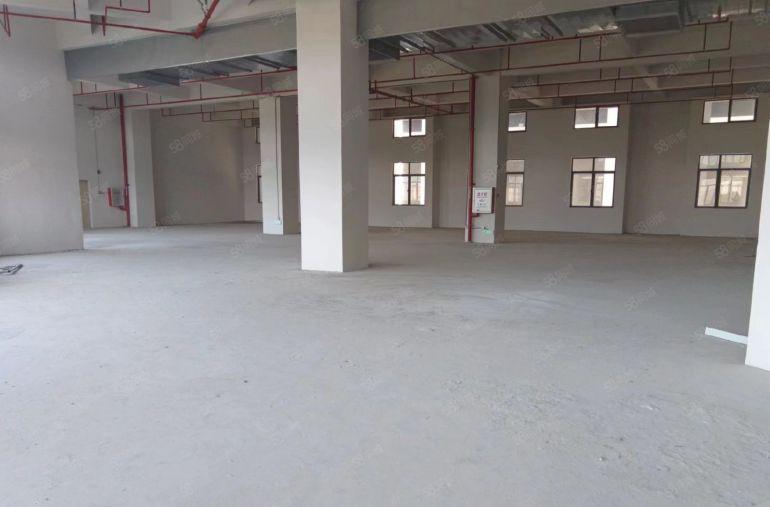 11块一平原房东全新厂房，大园区空地大好停车，形象好有消防