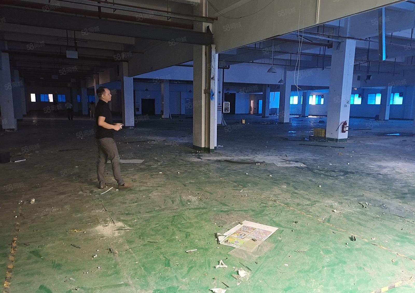 黄江镇高速附近新出花园式独院厂房29850平方