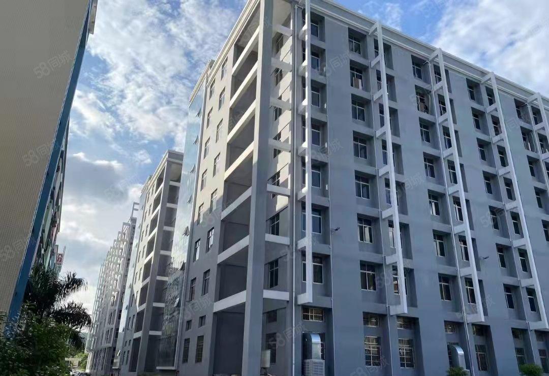 整层带装修，带办公室，原房东物业，价格低至12块一平