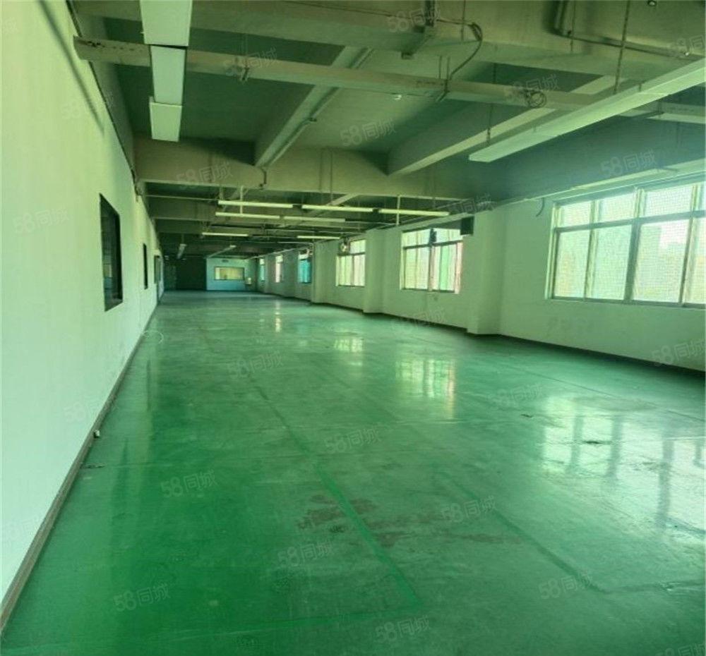 黄江工业区厂房出租3楼2400平方，地坪漆简装修，不限制行业