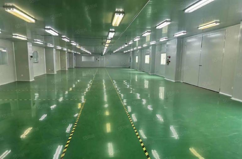 黄江田心独院无尘车间厂房仓库1000平，精装修实际面积出租