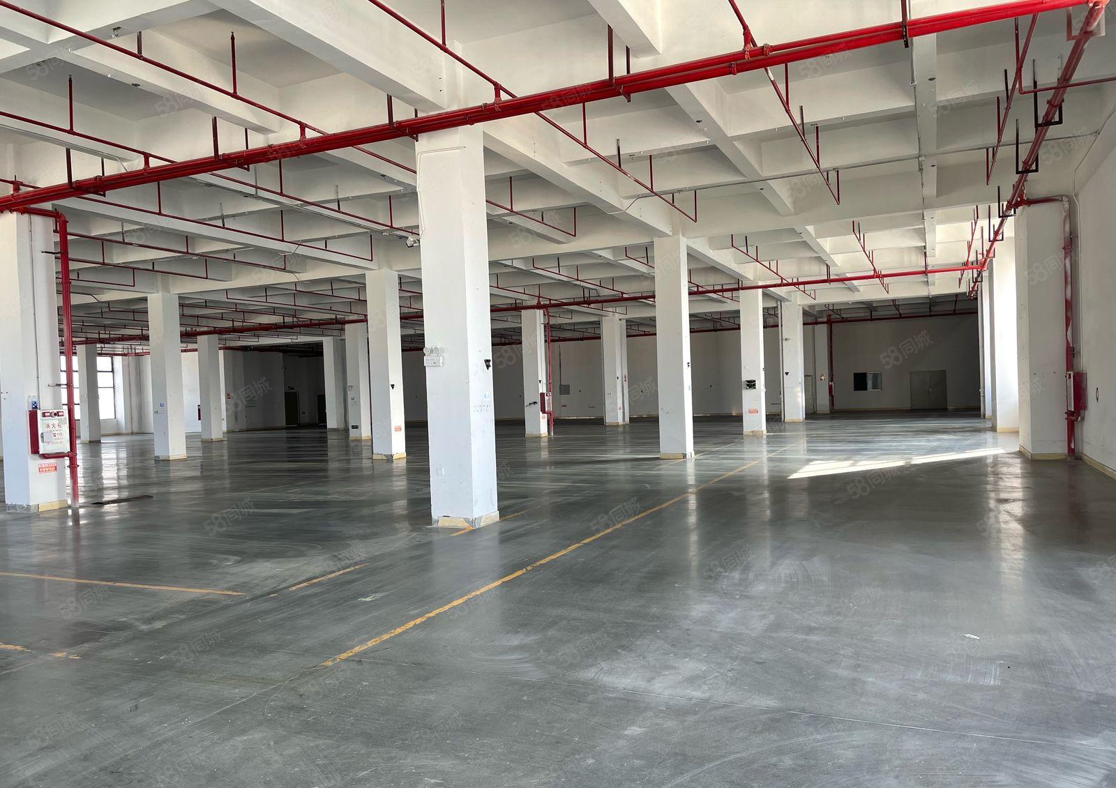 黄江镇工业区低价厂房出租7680平6米高可分租