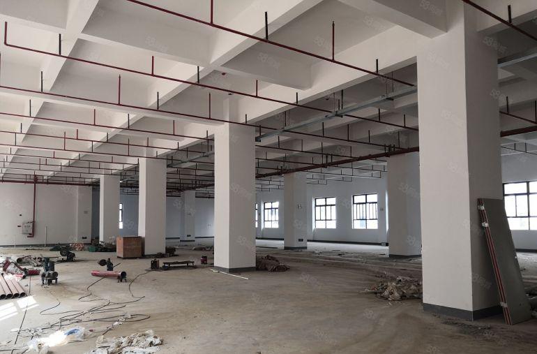 黄江新出标准一楼2500平米空地大带办公室装修