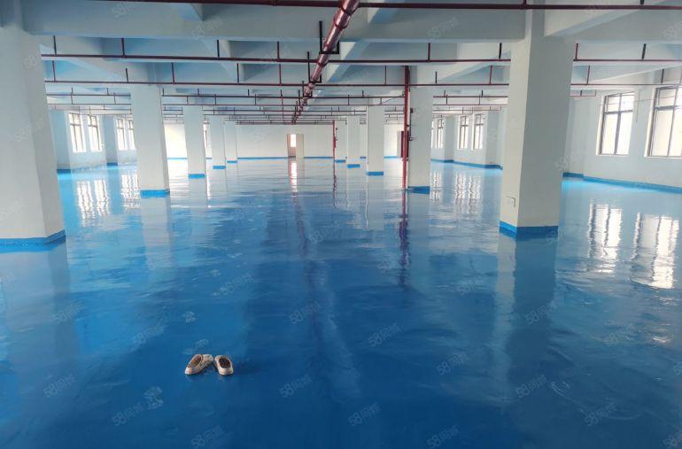 全新厂房，全新地坪漆，原房东自建厂房，自已直租，11块一平