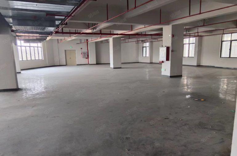 600平全新厂房，原房东，11块一平出租，大园区环境形象好