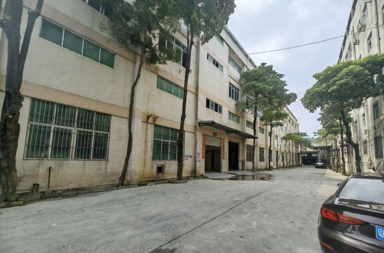 大冚原房东独院5400平方一楼7.5米