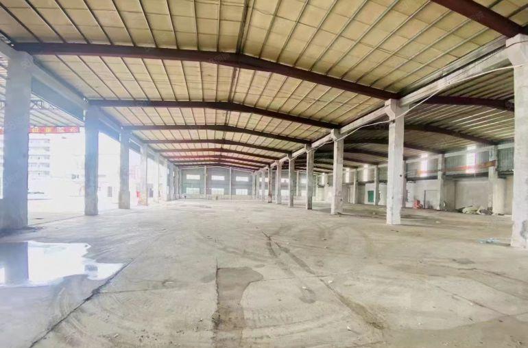 黄江镇田心村9米高单一层钢构厂房出租11800平空地一万平