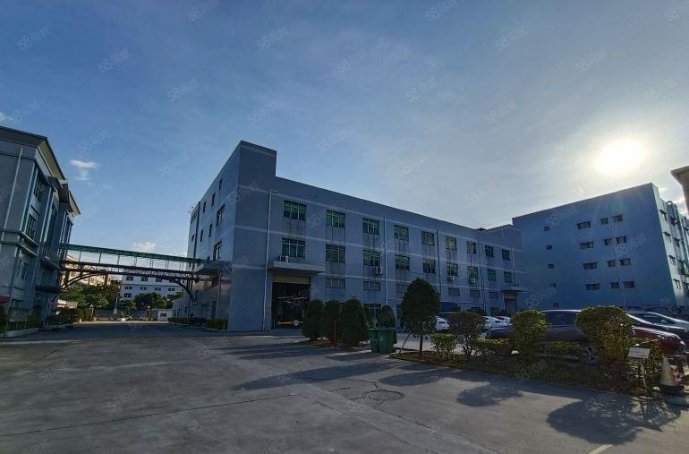 黄江新出原房东标准一楼1500平带牛角现成行车水电齐全低价甩