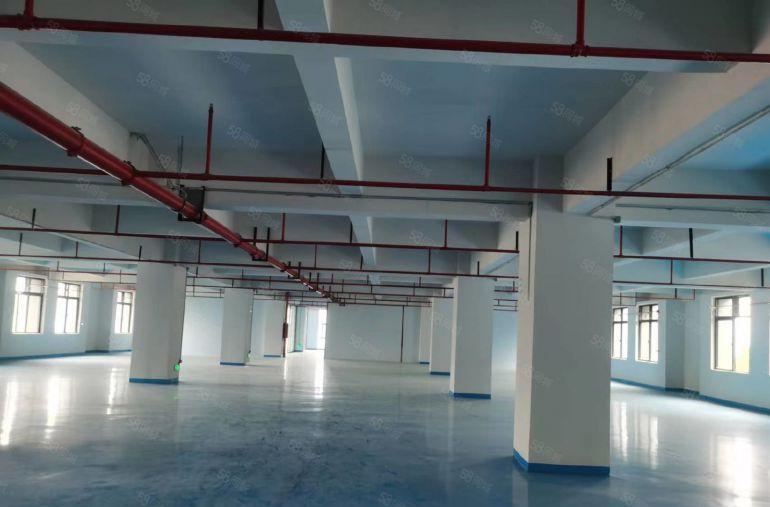 靠深圳黄江碧桂园附近园区工业园厂房分租3楼1500平方带装修