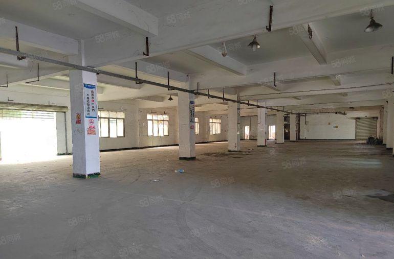 新出原房东独院小厂房，适合各种行业，远离居民区，