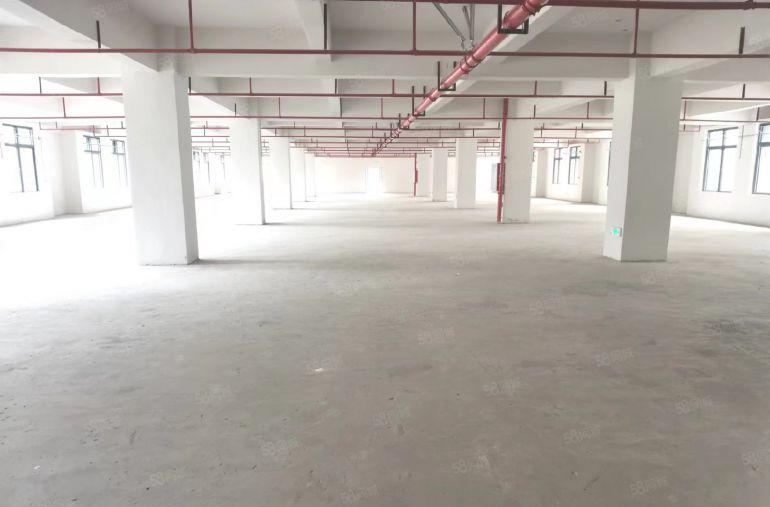 整层2500平，原房东10一平出租，全新厂房，空地大好停车