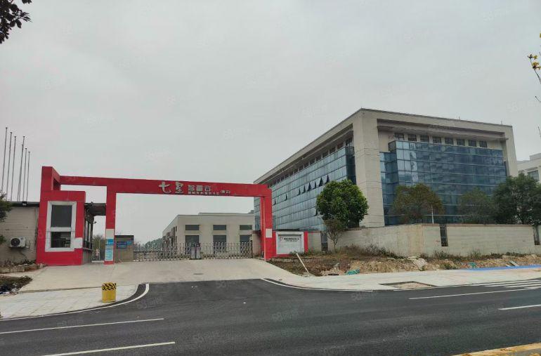 临深片区新出钢构加标准楼房独院国有双证齐全厂房出租