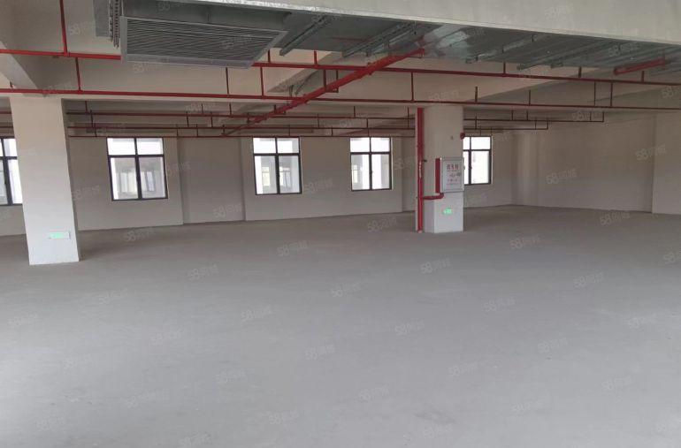 11块一平原房东全新厂房，大园区空地大好停车，形象好有消防