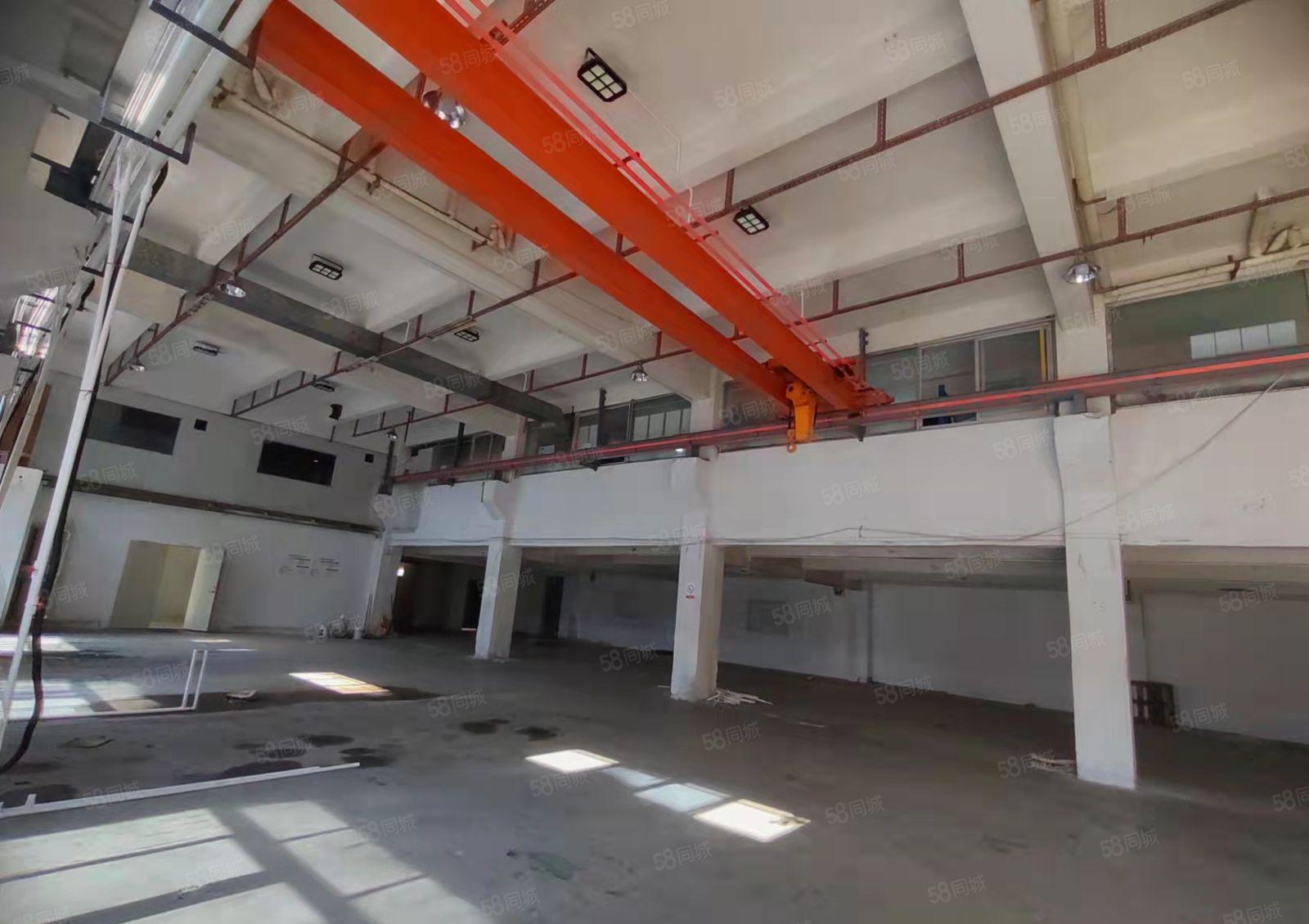 黄江临近深圳公明塘厦厂房一楼出租，滴水6.5米带有现成行吊