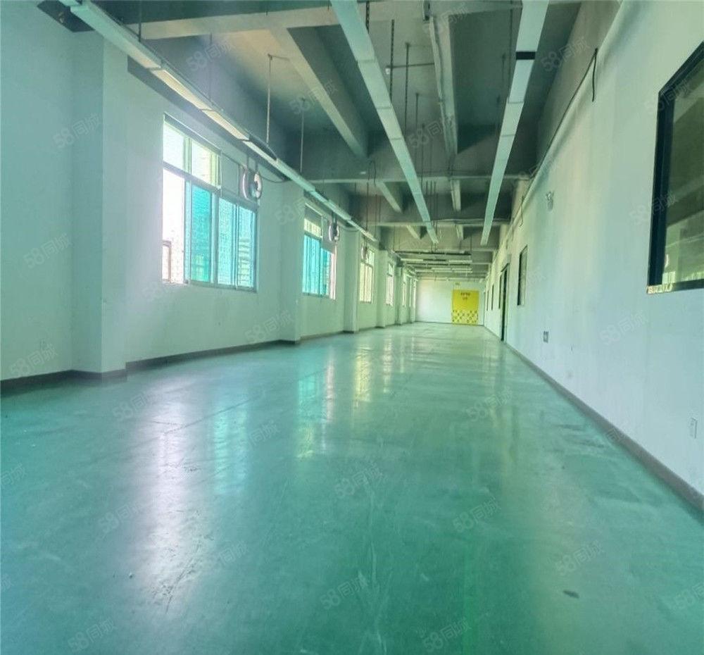 黄江工业区厂房出租3楼2400平方，地坪漆简装修，不限制行业
