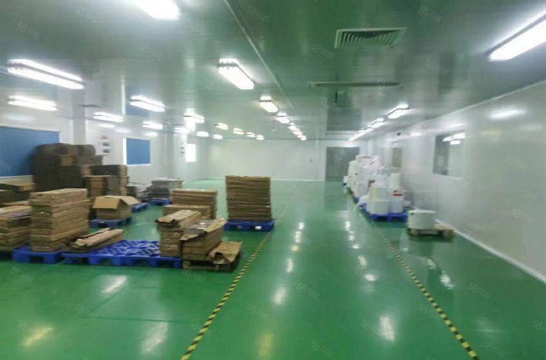 黄江田心独院无尘车间厂房仓库1000平，精装修实际面积出租