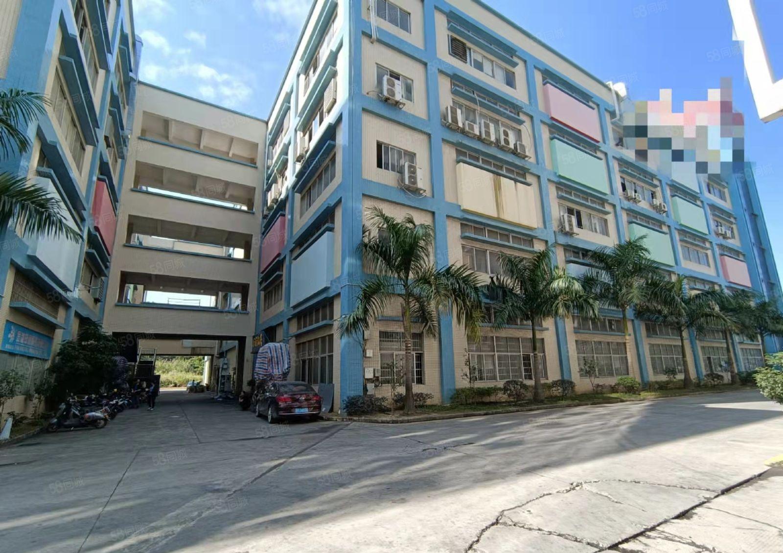 黄江镇新出原房东厂房出租整层4000平方无公摊