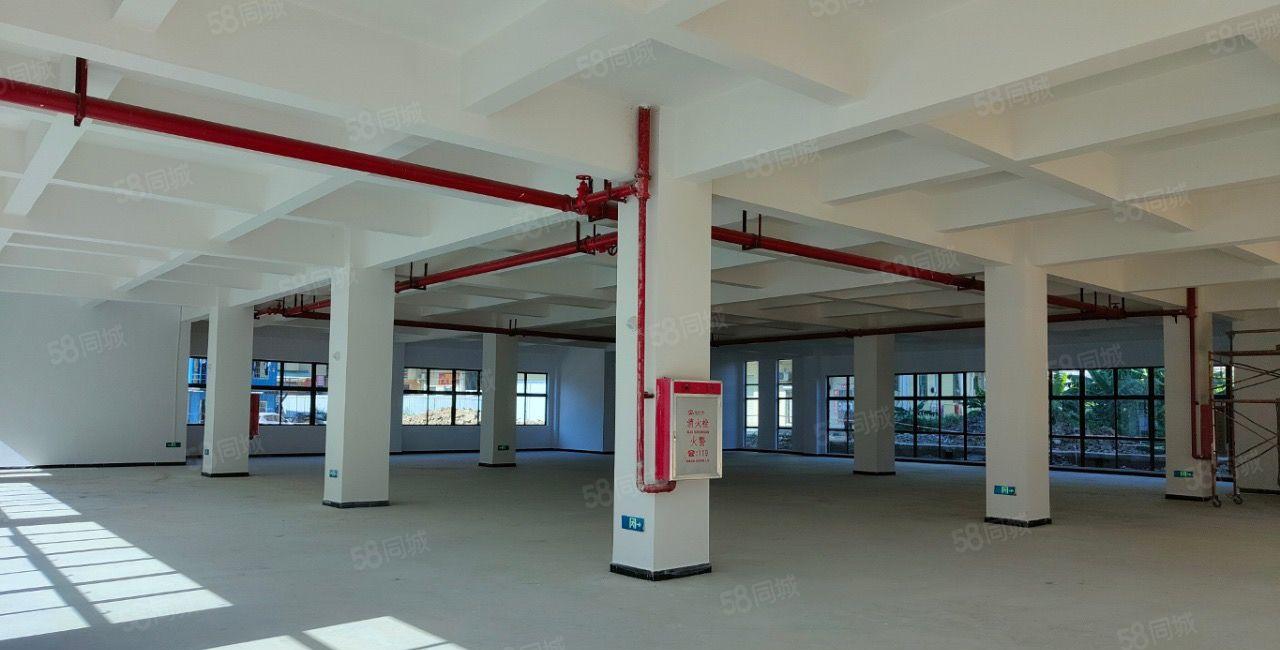 黄江镇临深片区全新标准独院9300平方米出租