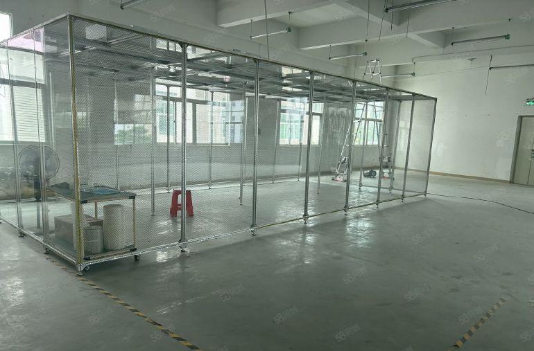 大岭山镇大环村空出标准2楼600平方厂房出租  精装修办公室