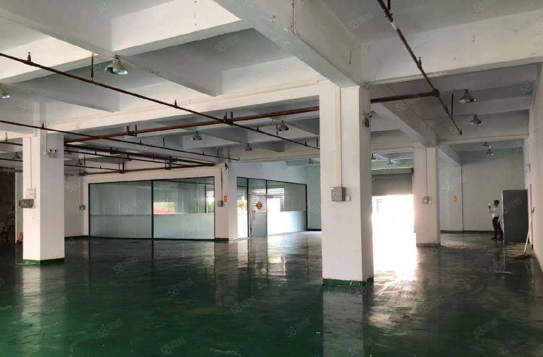 大岭山红本工业园区厂房出租 分租一楼1200平 精装修超低价