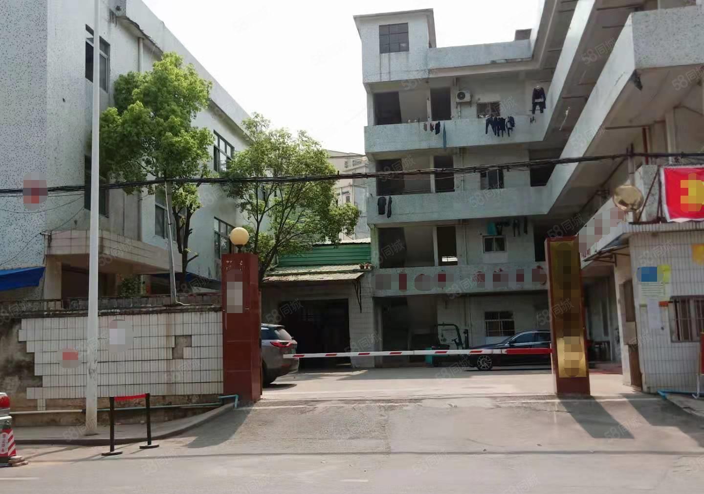 原房东 金桔村新出小独院楼上1200平厂房出租 带宿舍办公室