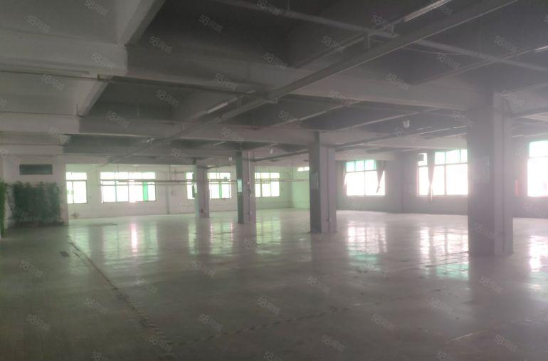 限时特价10元！大岭山楼上1500平精装厂房出租仓库出租