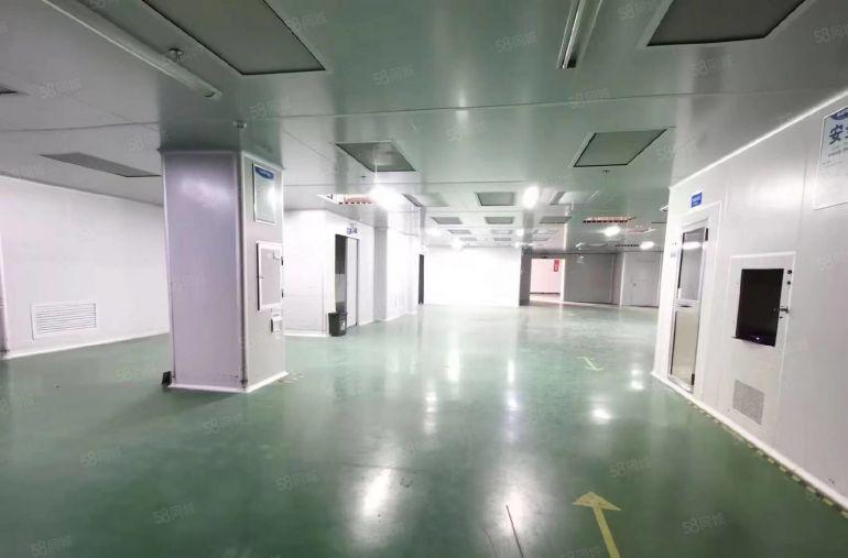 精装修工业无尘车间3层可分租