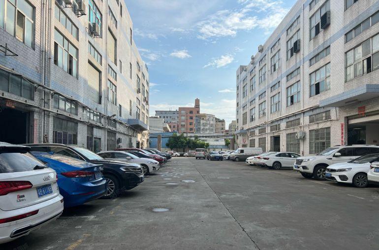 大岭山杨屋村标准一楼770平精装修办公室水电到车间龙大高速旁