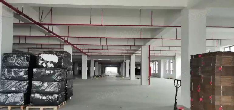 大岭山原房东厂房独院全新园区分租楼上每层3980平实际面积