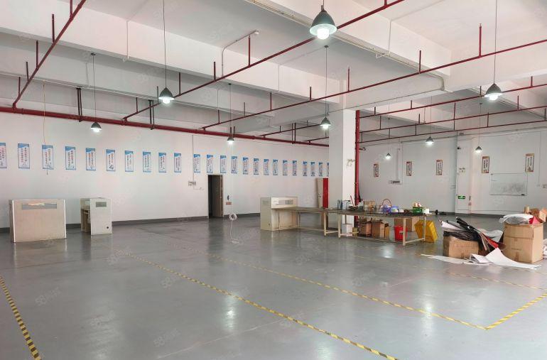 带精装修 大岭山大塘村原房东高新产业园空出楼上标准厂房出租