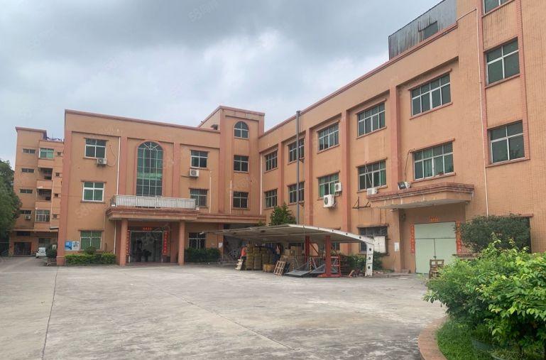 大岭山新出原房东独门独院8000平方实际面积出租可分租