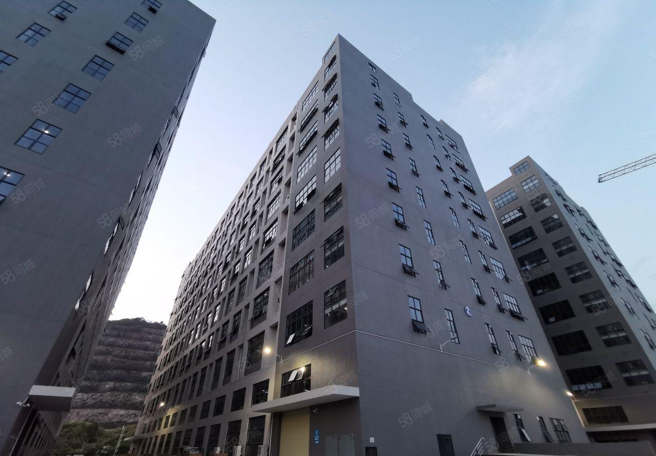 大岭山镇原房东红本综合产业园，二楼层高五米，工业用地可办环评