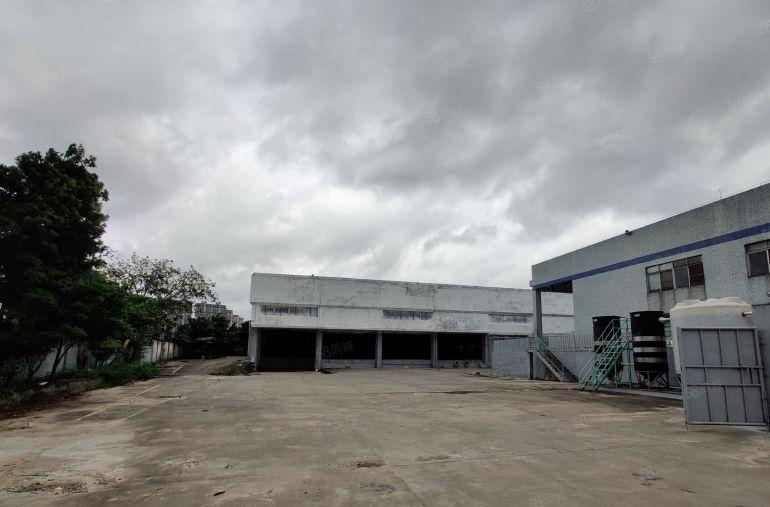 百花洞厚大路边新出钢构厂房4500平方，不限行业低价出租