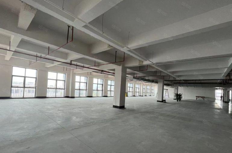 大岭山厂房出租，低价可做仓库，可办环评工业用地