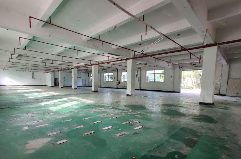 水朗工业区新出超大空地标准厂房一楼1000平方，实际面积出租