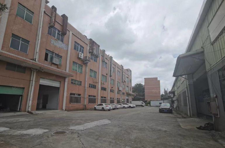 大岭山杨屋标准钢构独院厂低价厂房仓库分租一楼楼上500平起