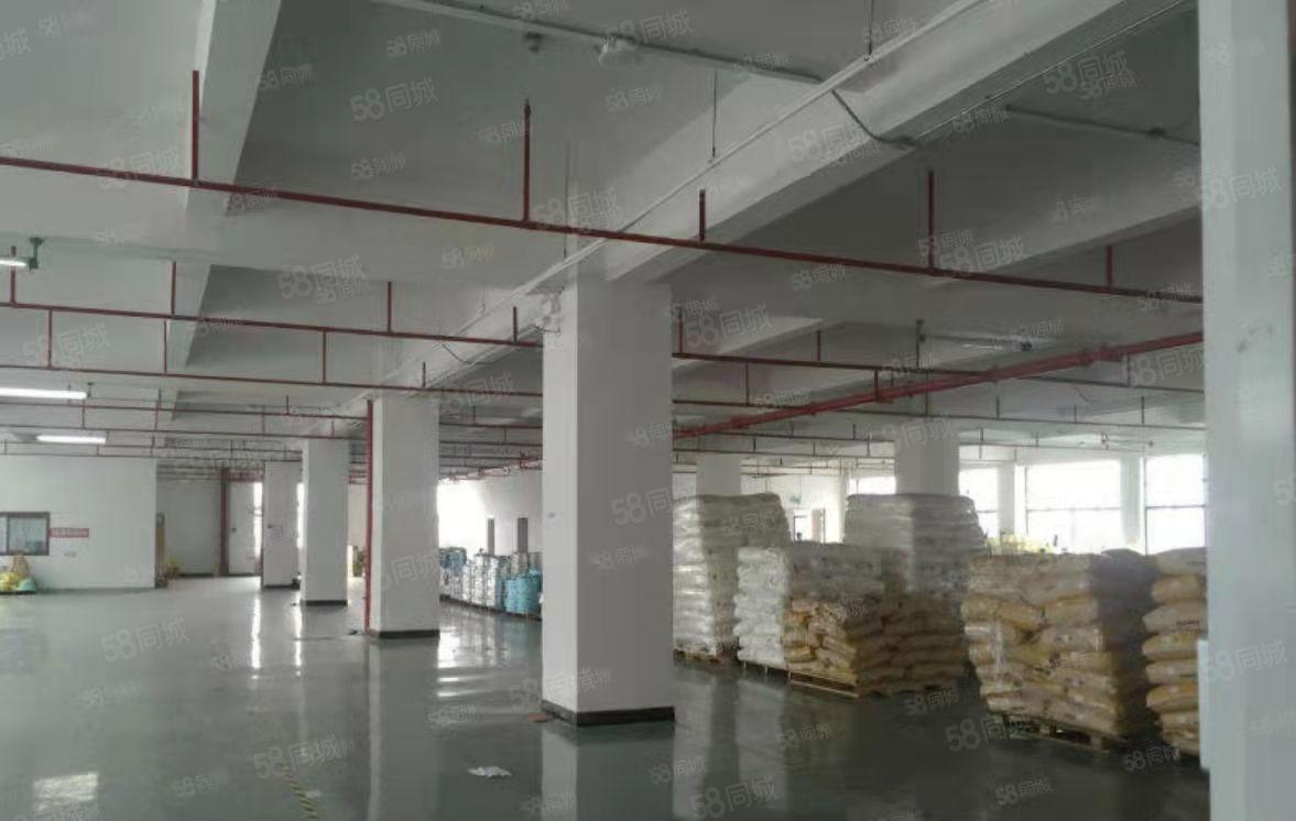 大岭山镇靠深圳独院标准厂房3层3000平方 消防喷淋 精装修