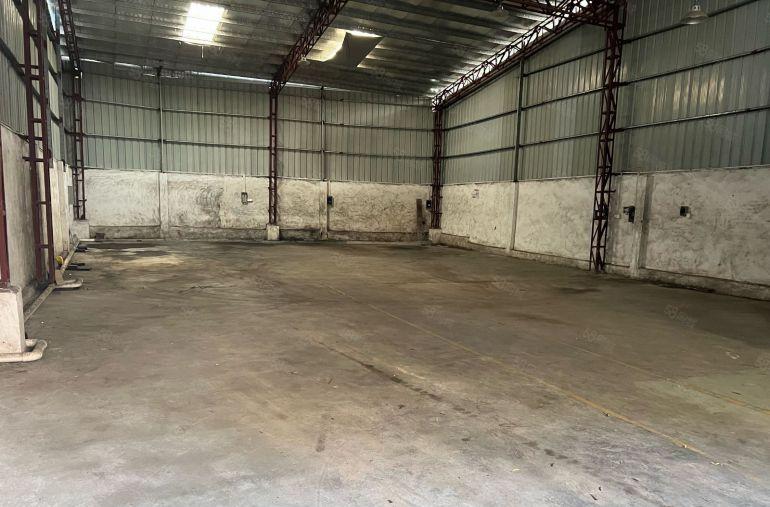 大岭山镇颜屋原房东小独院380平方107国道边上主线到车间