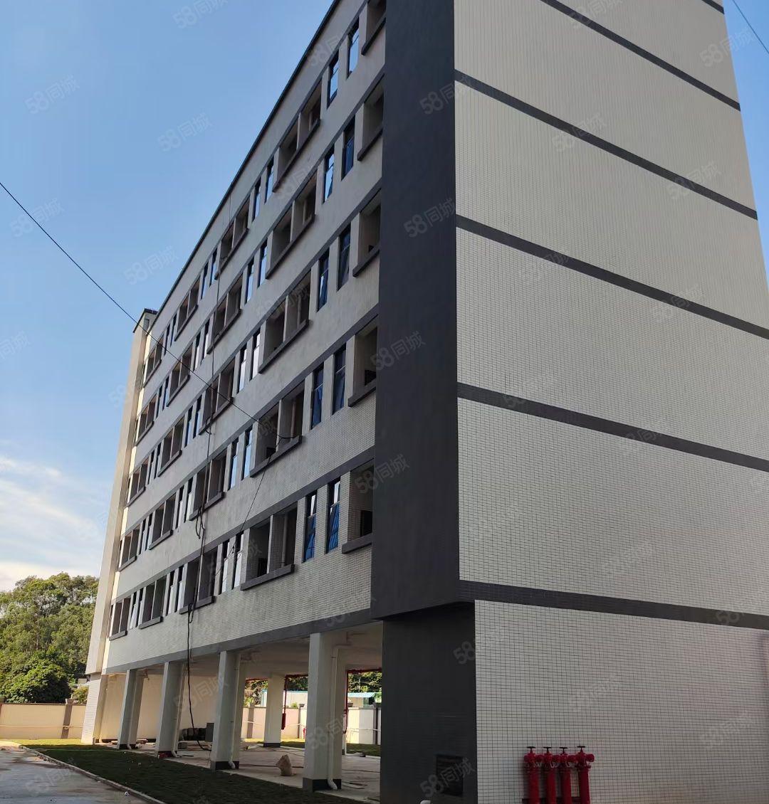 大岭山高速出口旁5000平米一楼厂房低价出租可分租，可办环评