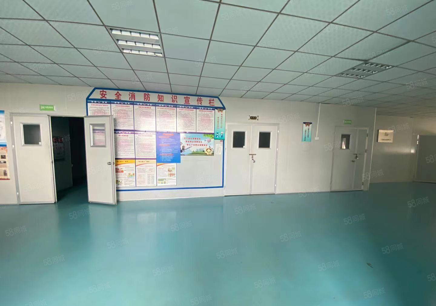 大岭山太公岭园区厂房出租，1000平，无尘车间，洁净车间