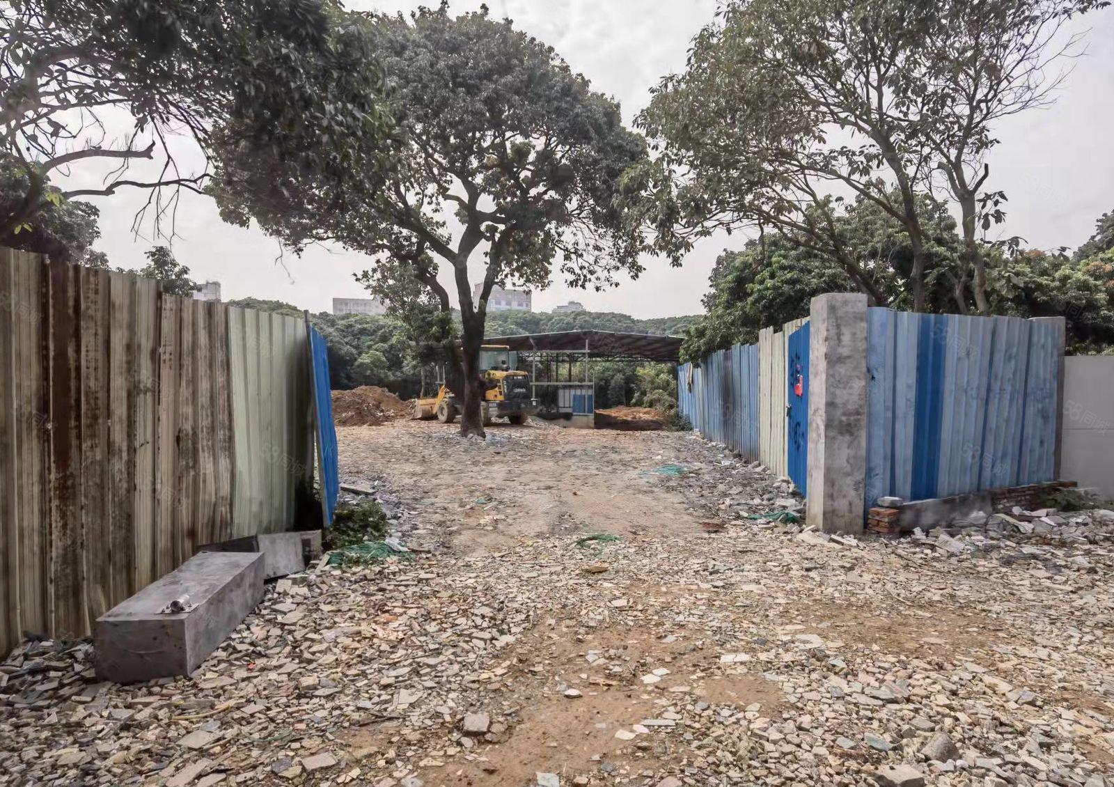 不怕脏及噪声 大岭山镇原房东出租独院铁皮300空地600平