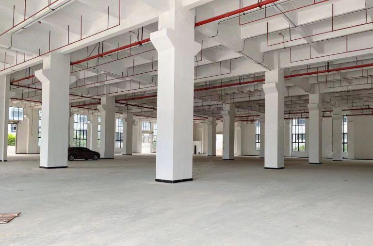 大岭山全新重工业厂房 一手房东实际面积空地超大交通便利好招工