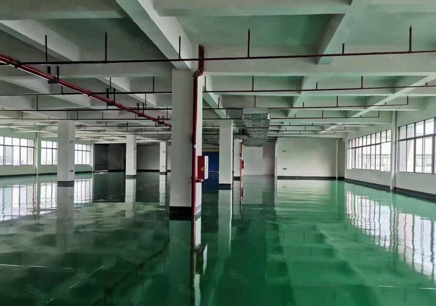 大岭山唯一独院厂房出租 带现成装修6000平