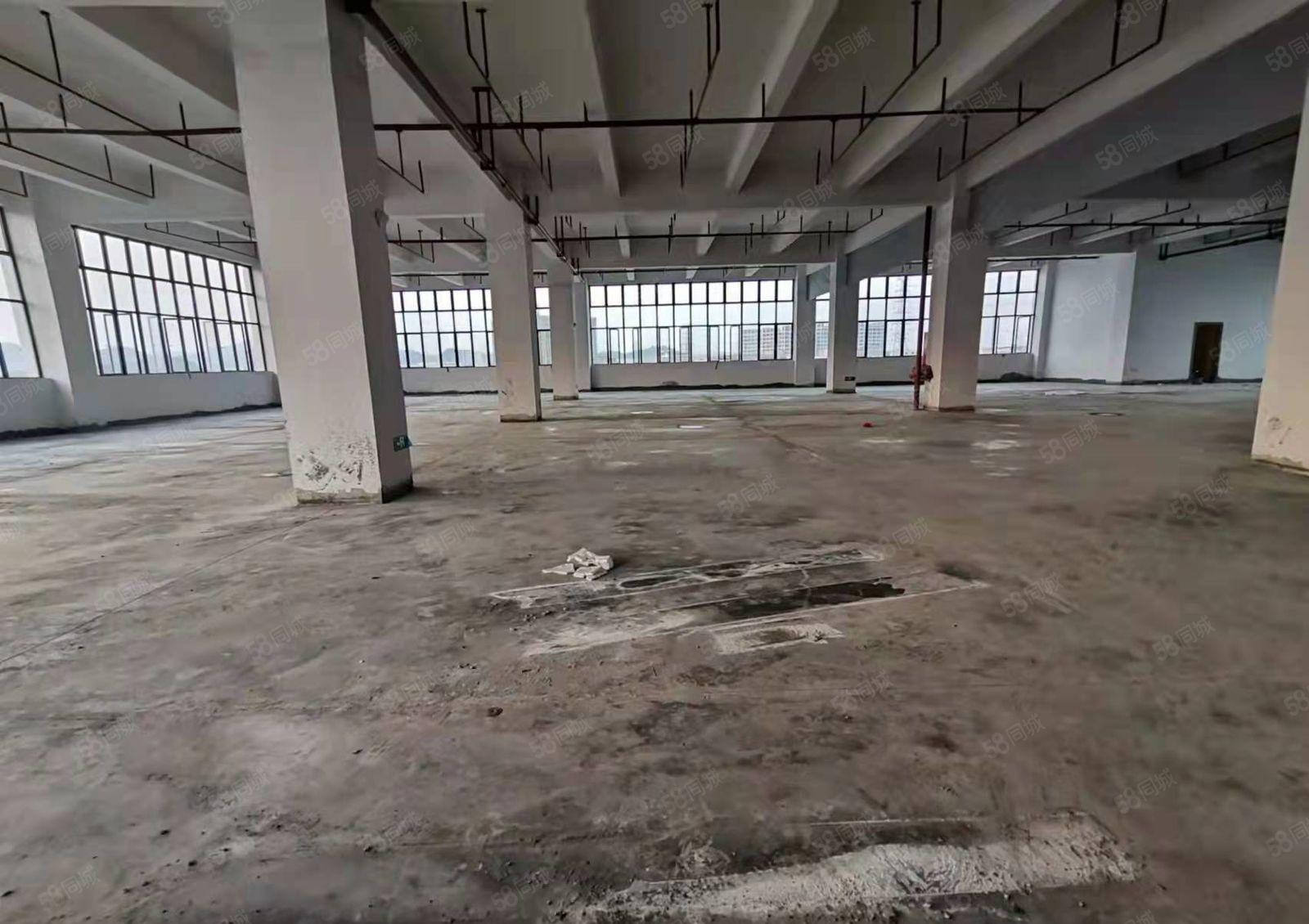 大岭山新塘石大路，全新厂房出租，红本厂房，可办环评，可分租