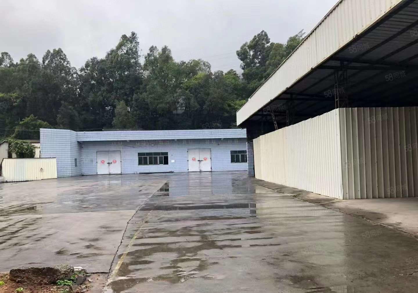 大岭山临深区域原房东独门独院，超大空地3000平