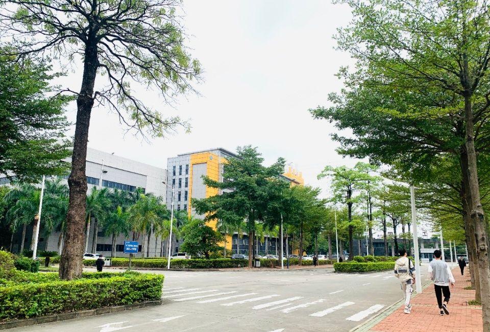 东莞临深片区大岭山镇一手房东独院，带房产证高大上园区厂房出租