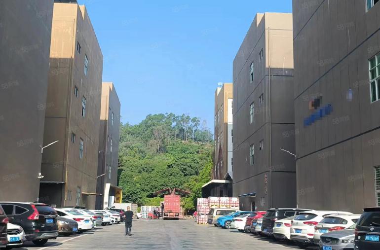 大岭山镇大环村空出标准2楼600平方厂房出租  精装修办公室