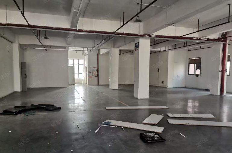 大岭山颜屋楼上精装修厂房出租办公室地坪漆低价小厂房仓库出租