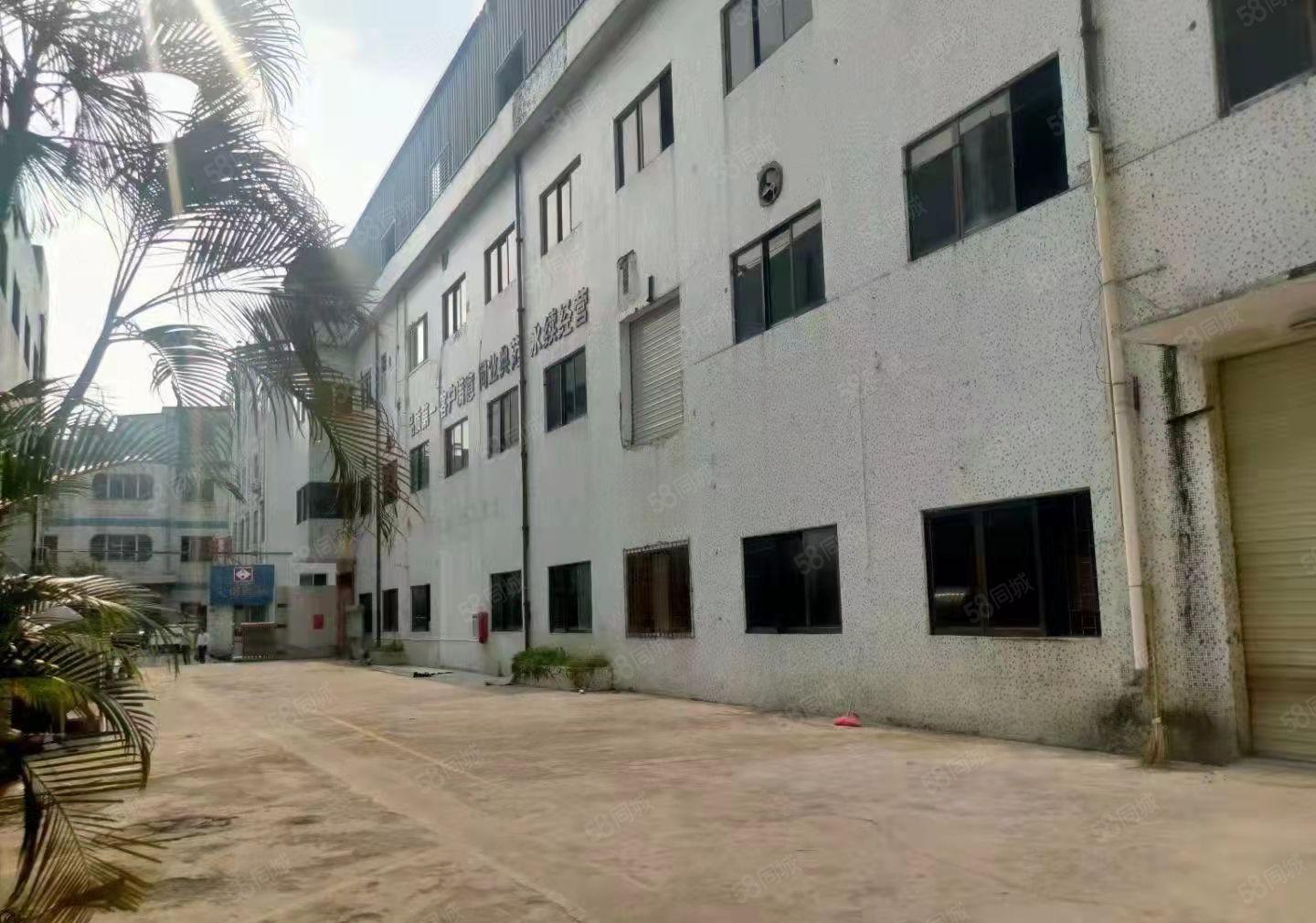 大岭山标准厂房分租2楼1680平原村委房子，带装修