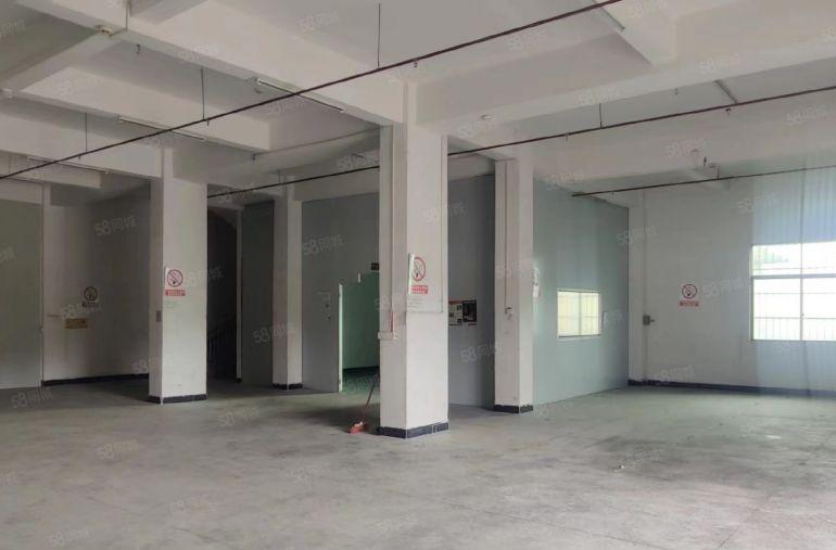 大岭山石大路旁 原房东独栋厂房 超低价 精装修 现成办公室